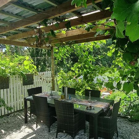 Pheasant Lodge Paparoa 외부 사진